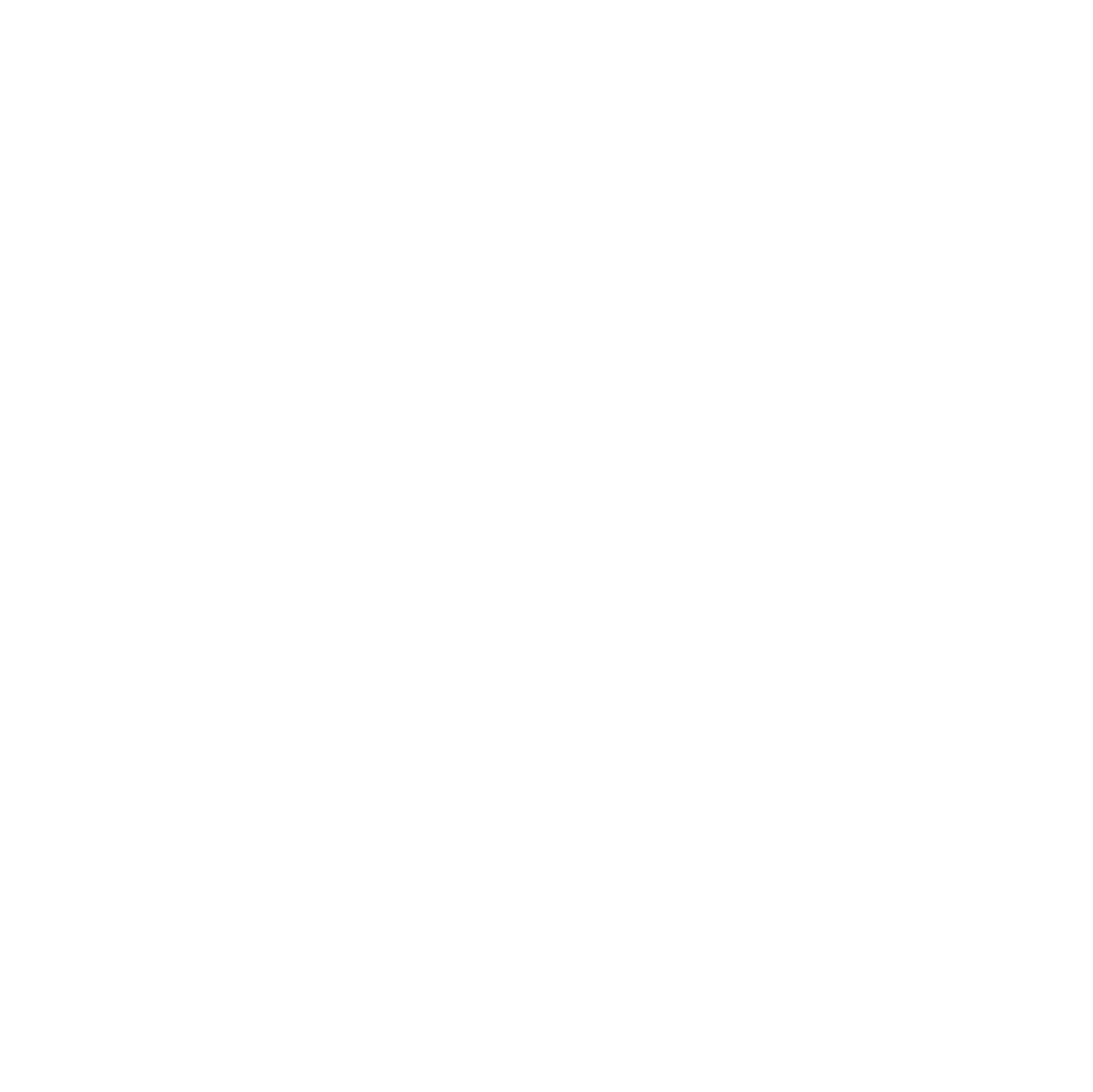 Alianah Humanity Welfare